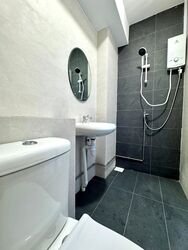 Lion Towers (D11), Apartment #569635931